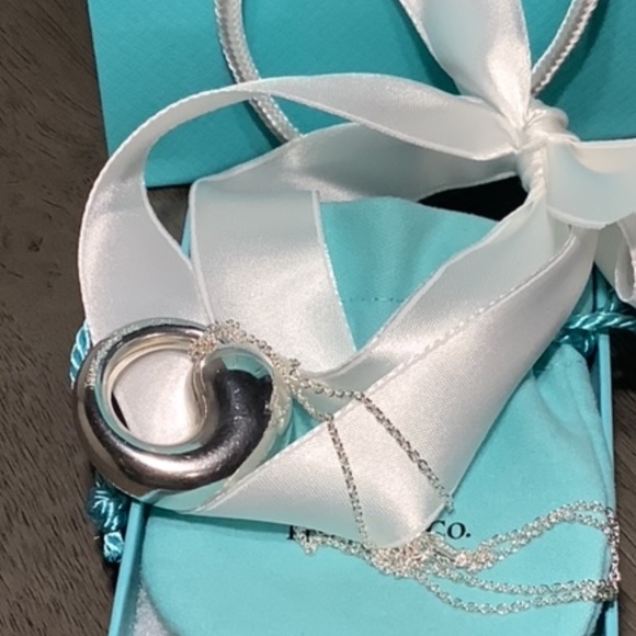 Tiffany & Co Elsa Peretti Large Eternal Circle Pendant with T & Co. 925 Chain - Picture 4 of 11